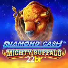 22br login